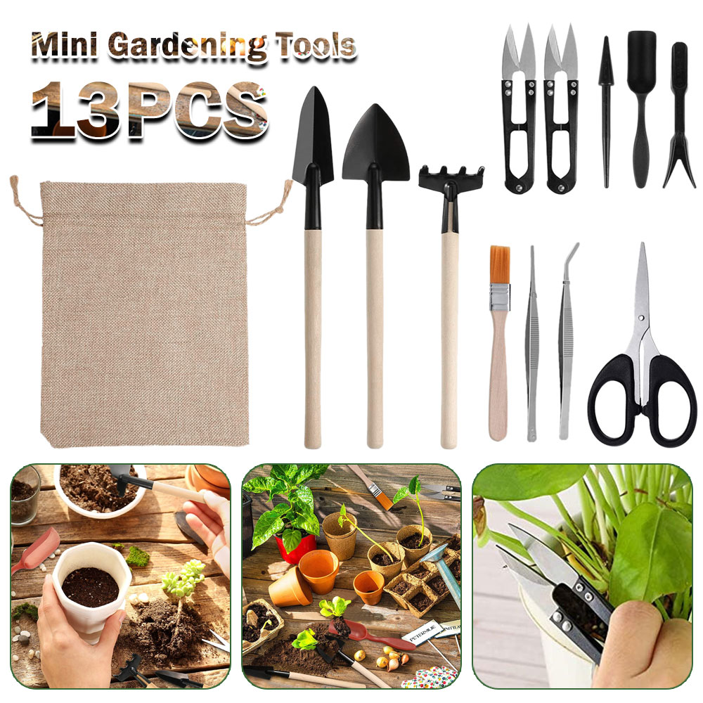Bonsai Tool Set - Sukkulenten Werkzeuge Mini Garten Handwerkzeuge Umpflanzen