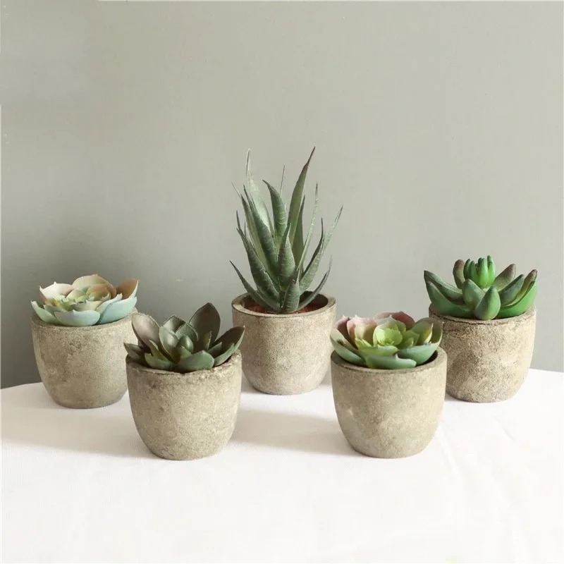 Mini künstliche Aloe Pflanzen  – Bonsai Garden Sushi Bewertung und Preis