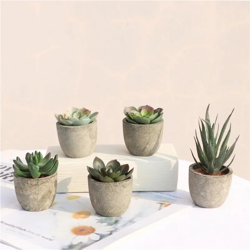 Mini künstliche Aloe Pflanzen  – Bonsai Garden Sushi Bewertung und Preis