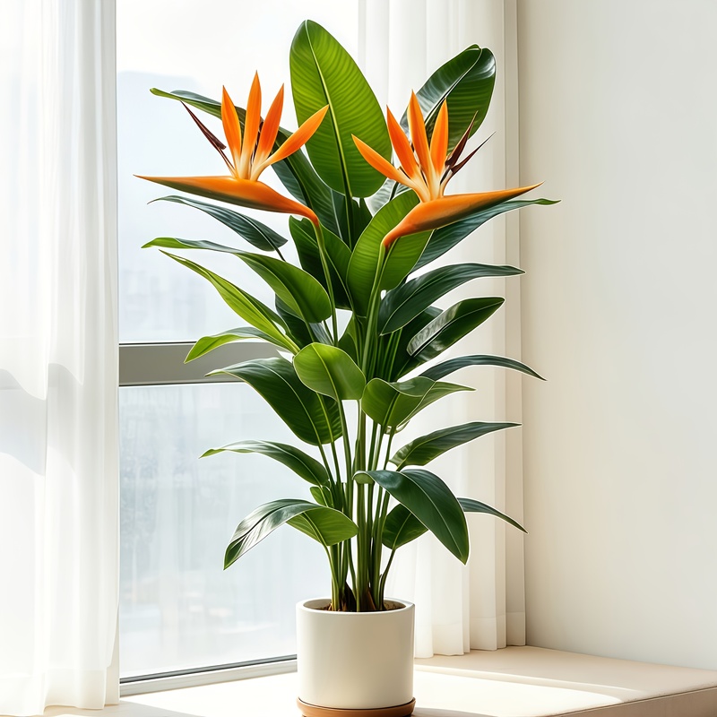 Lebensechter künstlicher Banan – Bonsai Garden Sushi Bewertung und Preis