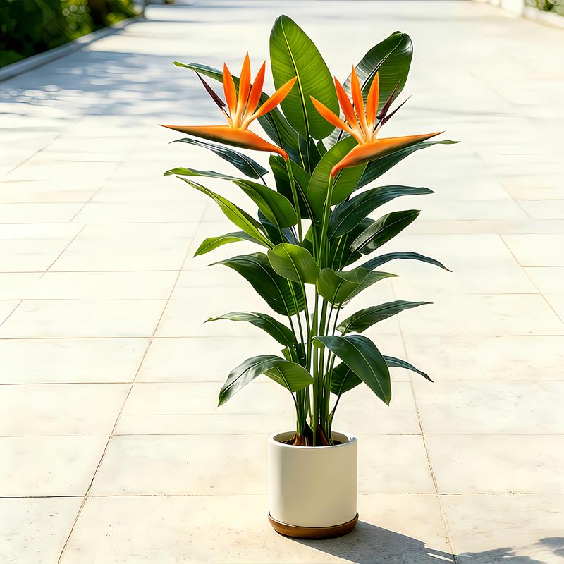 Lebensechter künstlicher Banan – Bonsai Garden Sushi Bewertung und Preis