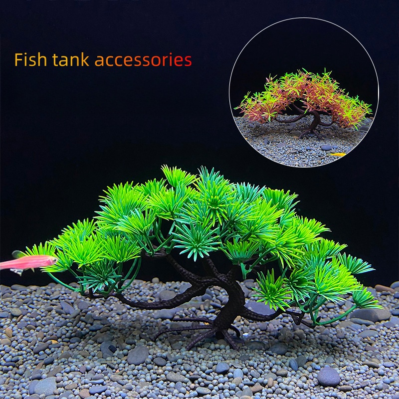 Aquarium-Bonsai-Baum, Pflanze, – Bonsai Garden Sushi Bewertung und Preis