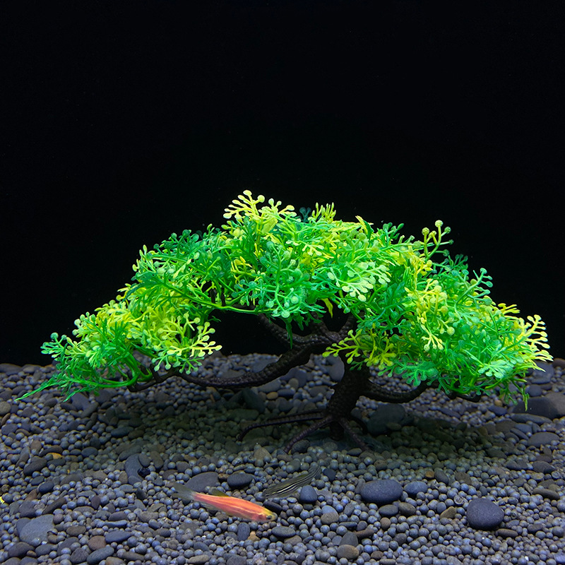 Aquarium-Bonsai-Baum, Pflanze, – Bonsai Garden Sushi Bewertung und Preis
