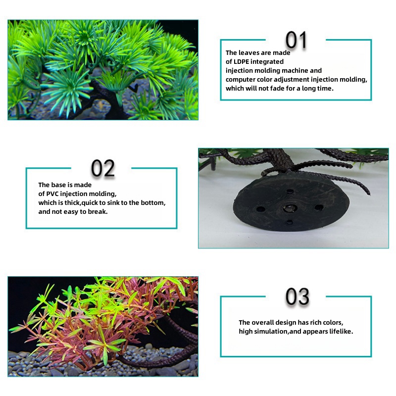 Aquarium-Bonsai-Baum, Pflanze, – Bonsai Garden Sushi Bewertung und Preis