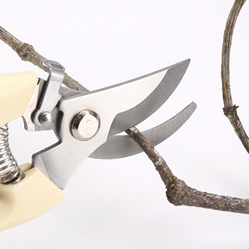 Gartenschere, Handwerkzeuge, B – Bonsai Tool Set Bewertung und Preis