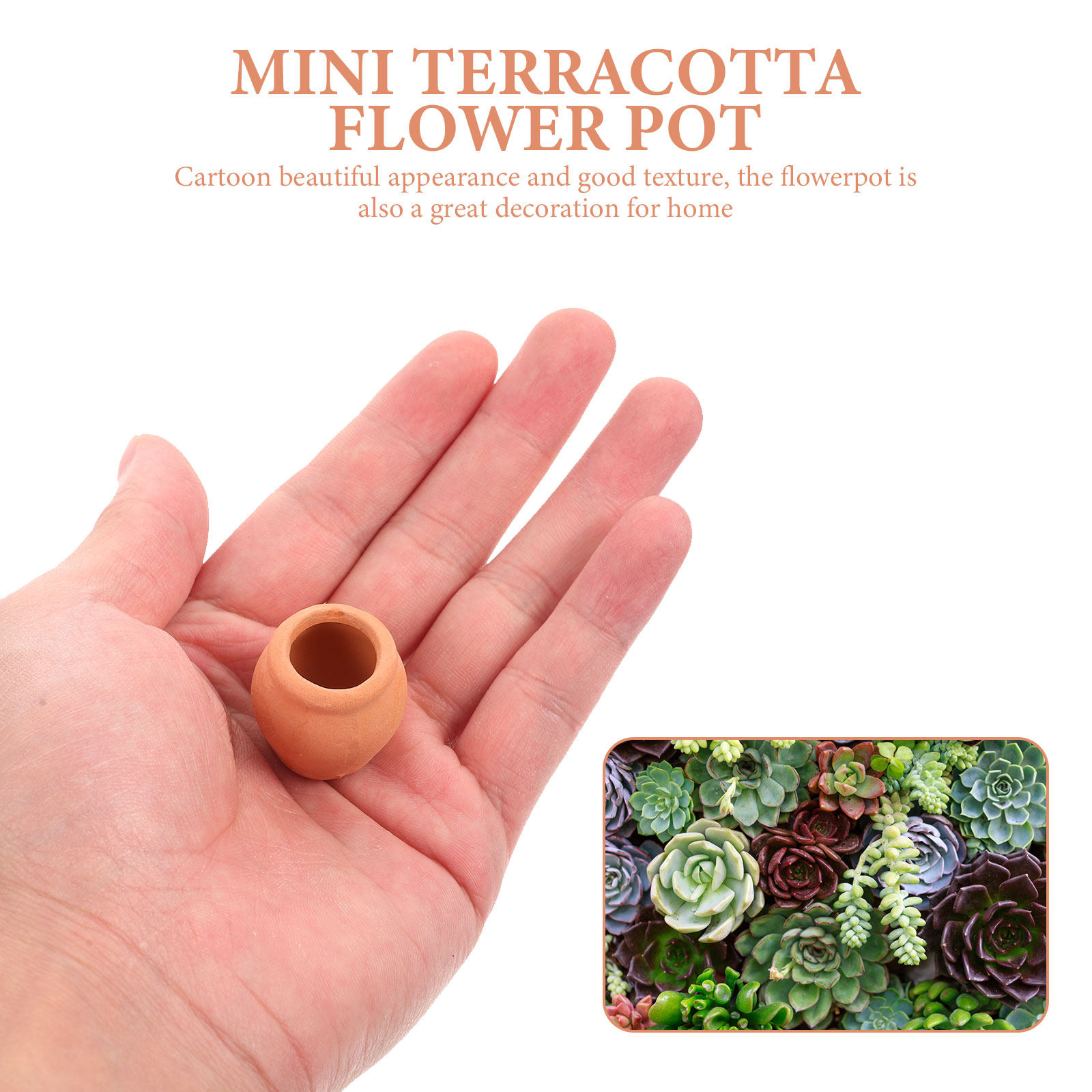 8-teiliges Mini-Keramik-Blumen – Bonsai Garden For Desk Bewertung und Preis