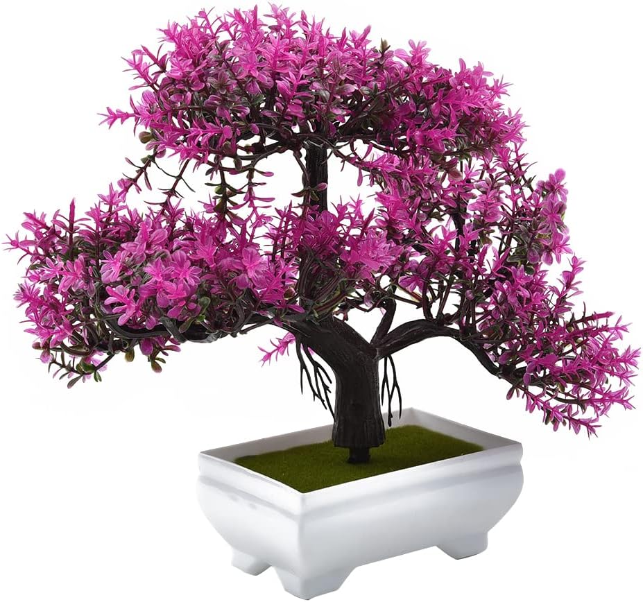 Künstliche Pflanzen Bonsai Gef – Bonsai Garden Sushi Bewertung und Preis