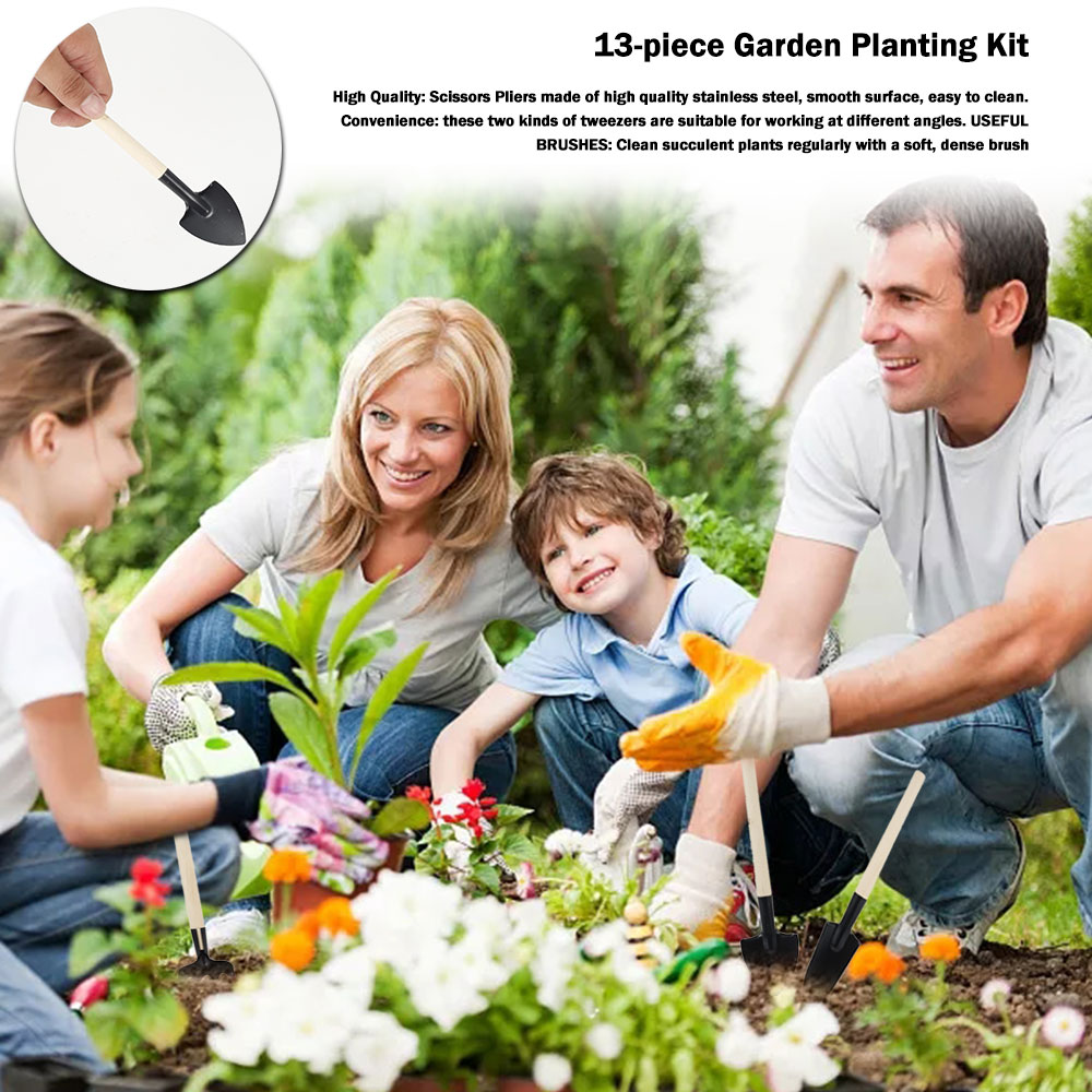 Sukkulenten Werkzeuge Mini Gar – Bonsai Tool Set Bewertung und Preis