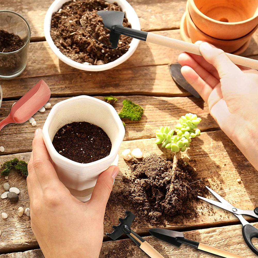Sukkulenten Werkzeuge Mini Gar – Bonsai Tool Set Bewertung und Preis